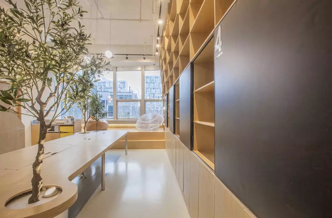 牛在墻上飛，猴子樹梢醉；這是在動物園辦公嗎？